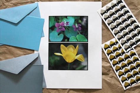 Making Greeting Cards with Photos and Some Pictures of Our Flowers | Loulou Downtown