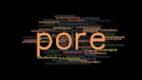 Pore Past Tense: Verb Forms, Conjugate PORE - GrammarTOP.com