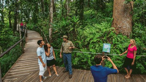 Skyrail Rainforest Cableway - Adventure Queensland