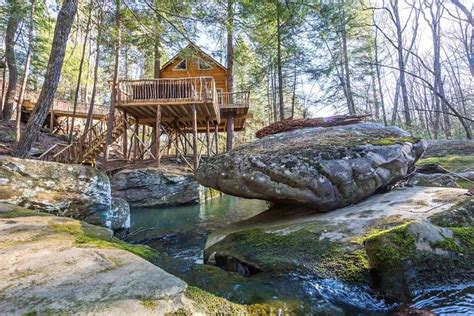 8 Dreamlike Treehouses in Tennessee - Territory Supply