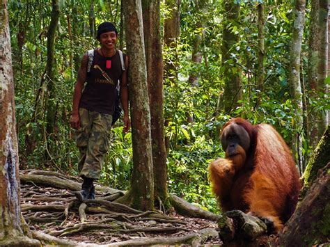 Your Jungle Guide in Bukit Lawang & North Sumatra Come with us!