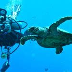 Maldives diving packages