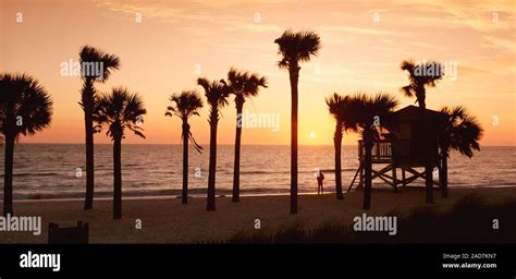 USA, Florida Keys, St Armands, Lido Beach, Gulf of Mexico, Sunset over the ocean Stock Photo - Alamy