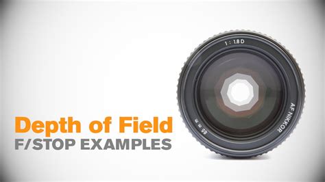 Depth of Field: F/Stop Examples - NewbieTo Photography