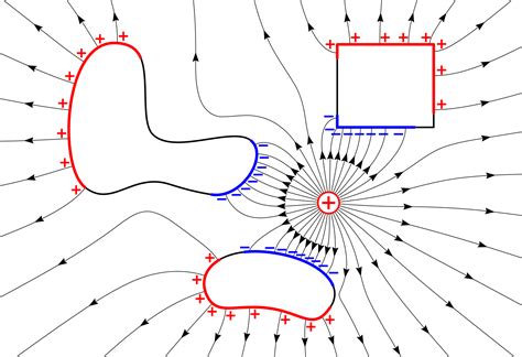 File:Electrostatic induction.svg - Wikimedia Commons