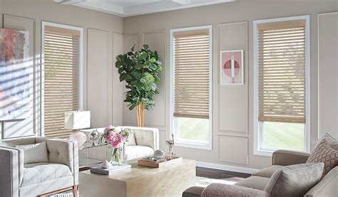 Modern Living Room Blinds - Living Room Ideas