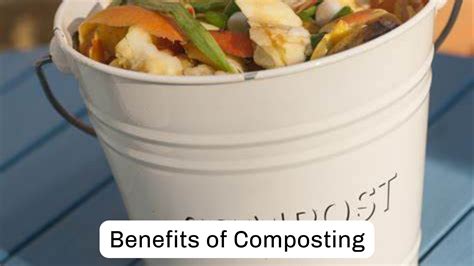 Benefits of Composting – Dive To Garden