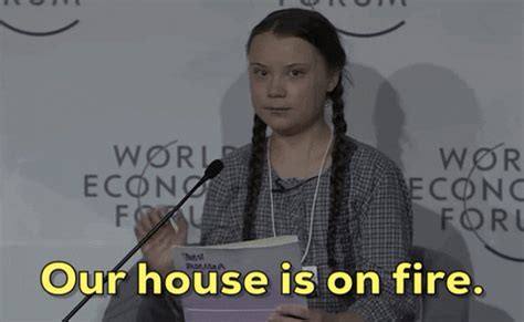 Greta Thunberg Global Warming Speech GIF | GIFDB.com