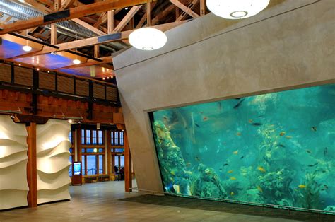 Seattle Aquarium - Architizer