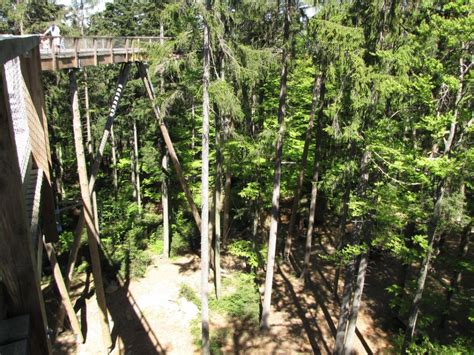 Treasures of the Bavarian forest: the longest tree top walk in the ...