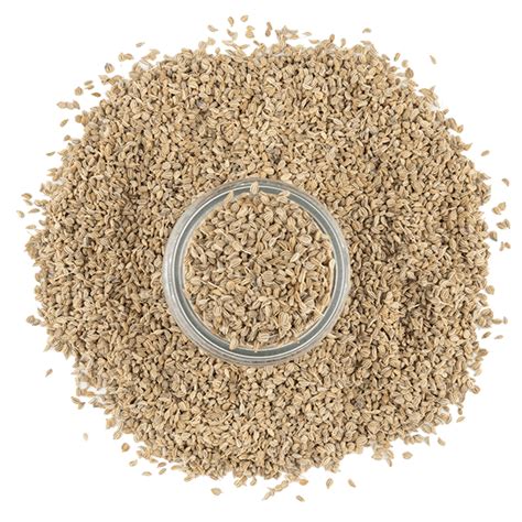 Ajowan Seeds | Ajwain Seeds | The Spice House