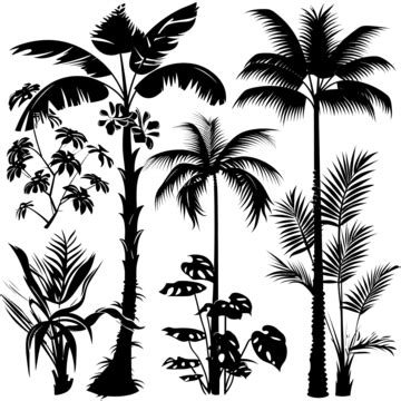 Tropical Plants Black Silhouettes, Seamless, Border, Pattern PNG Transparent Image and Clipart ...