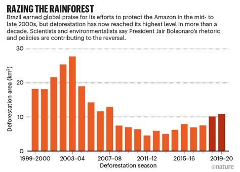 11 Amazon Rainforest Deforestation Facts to Know About | Earth.Org