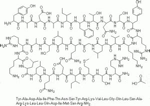 Peptide YY Function and Therapeutic Potential