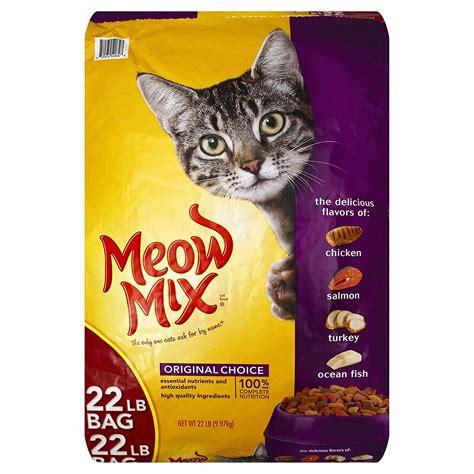 Top 10 Best Dry Cat Foods in 2022 - Top Best Pro Review