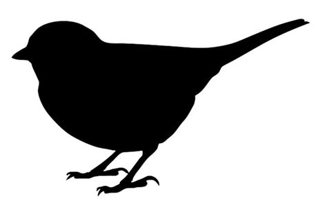 Images For > Sitting Bird Silhouette | Vogels, Sjablonen, Kippengaas