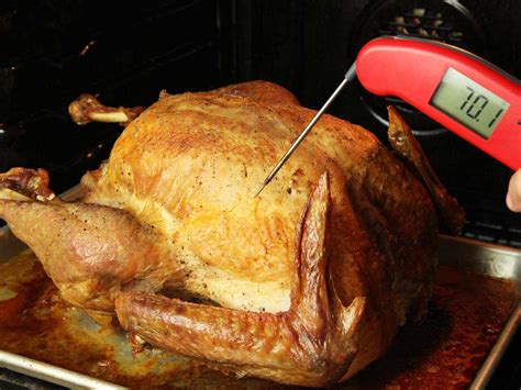 How to Check If Your Turkey's Cooked to the Right Temperature