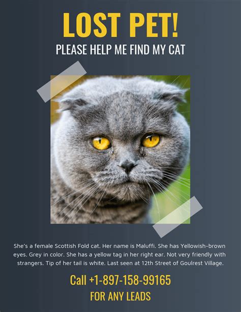 Lost Cat Template Flyer – Tasbih.armstrongdavis.com