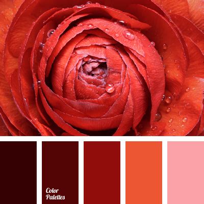 color scheme for a living room | Color Palette Ideas