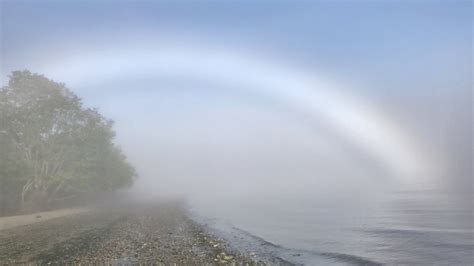 Gorgeous fog bow graces Anacortes ferry dock | KOMO