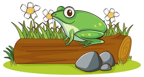 Free Vector | Isolated picture of frog on log