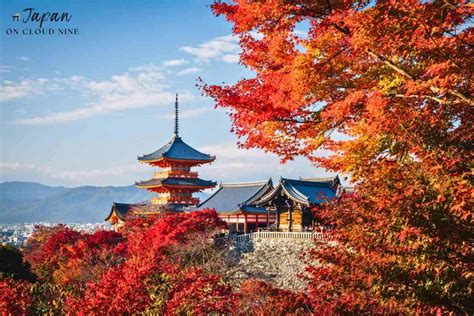 Fall Season in Japan : Best Activities and Places to View Autumn ...