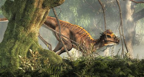 Meet the Pachycephalosaurus - The Dinosaur with a Hard Head - A-Z Animals