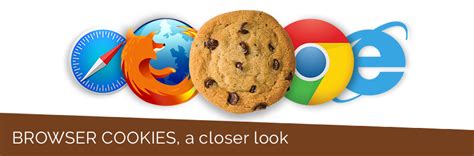 What Are Cookies? | How to Clear Cookies in Popular Web Browsers?