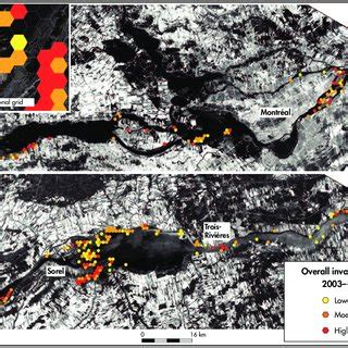 Map of overall invasion of St. Lawrence wetlands | Download Scientific Diagram