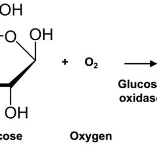 Scheme 1. Reaction scheme of glucose oxidation catalyzed by glucose... | Download Scientific Diagram