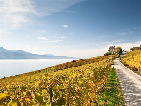 Autumn in Switzerland - Ultimate Guide to the Golden Season - Newly ...