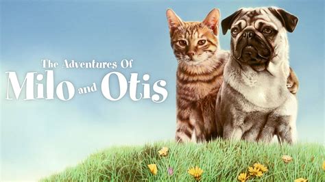 The Adventures of Milo and Otis (1986) - AZ Movies