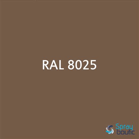 PEINTURE RAL 8025 BRUN PALE - Aérosol 520 ml | meilleur prix web