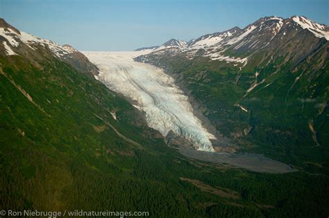 Exit Glacier | Photos by Ron Niebrugge