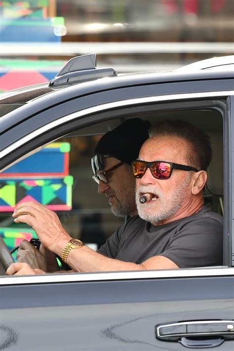 Arnold Schwarzenegger involved in car accident: report