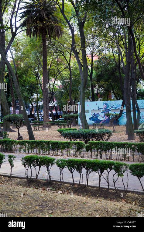 Parque Mexico paths in Condesa - Mexico City DF Stock Photo - Alamy