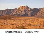 Las Vegas Desert Landscape in Nevada image - Free stock photo - Public Domain photo - CC0 Images