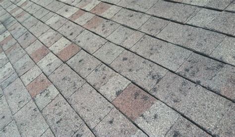 Roof Hail Damage Repair Contractor in Lewis Center, Powell, Westerville Ohio