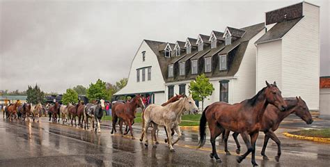 Historic Hotels in Sheridan, WY | Sheridan Inn