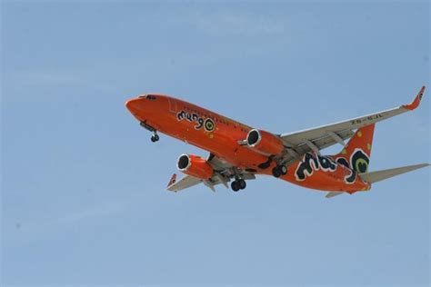 Mango Airlines stops operating at Lanseria International Airport from end of March | Fourways Review