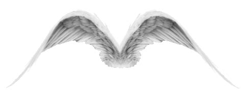 Flapping Angel Wings Gif