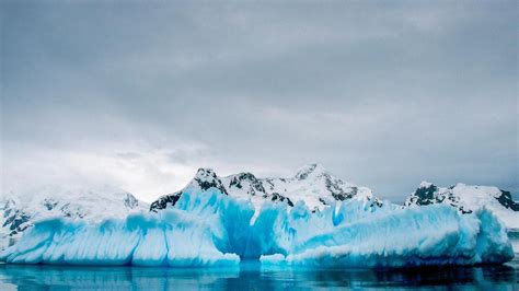 Antarctica Tours & Travel - G Adventures | Antarctica tours, Life is an adventure, Antarctica