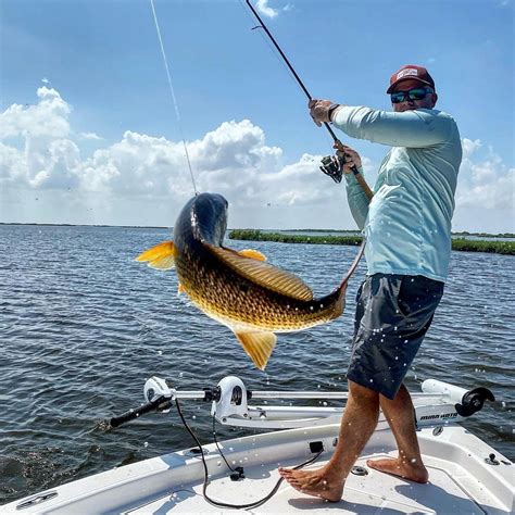 Redfish on the Half Shell