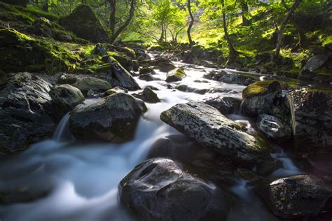 Water Stream Landscape Free Stock Photo - Public Domain Pictures