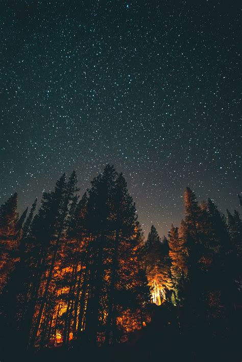 trees under the stars Fall Wallpaper, Tumblr Wallpaper, Nature ...