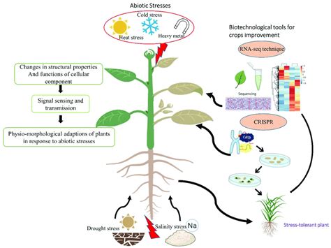 Schematic presentation of major abiotic stresses and biotechnological ...