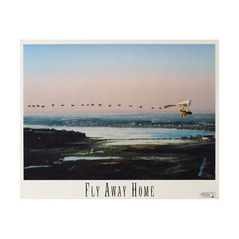 Fly Away Home