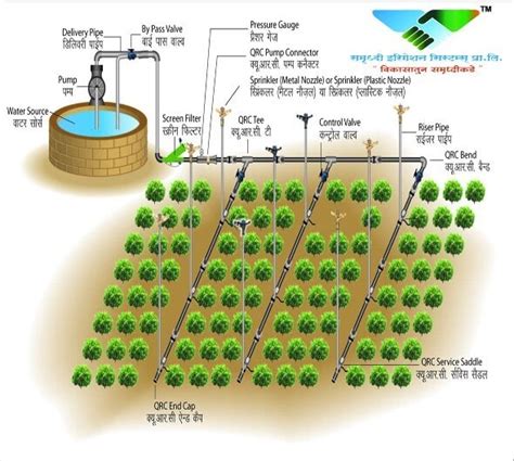 Learn About Sprinkler Irrigation System And Its Different, 47% OFF