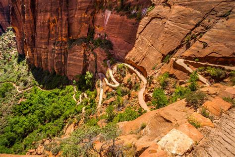 10 Best Hikes in Zion National Park, Utah | The Planet D