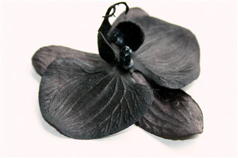 dongetrabi: Black Orchid Flower Bouquet Images